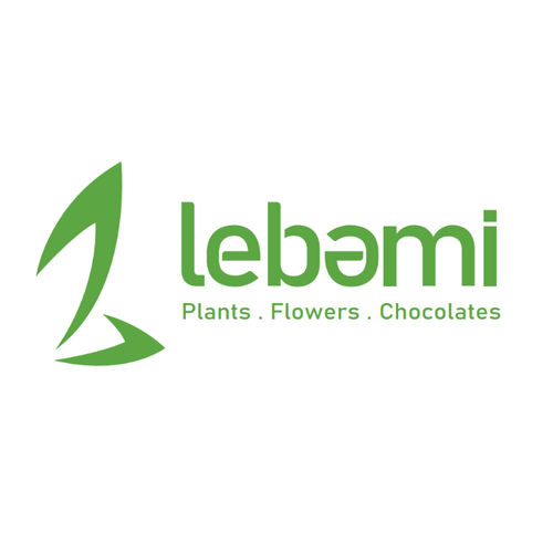 Lebami Flowers