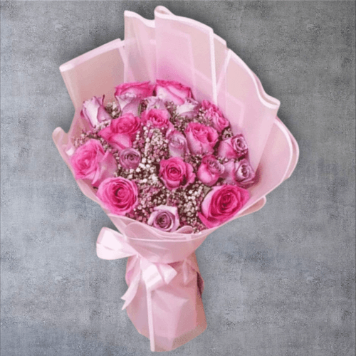 Roseate splendor roses