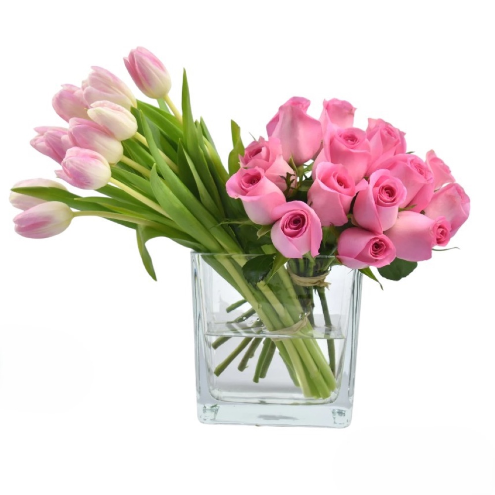 Pure Pink Elegance