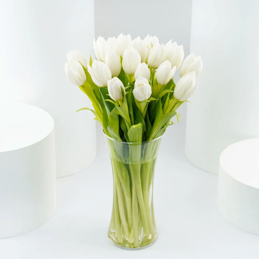 All Day White