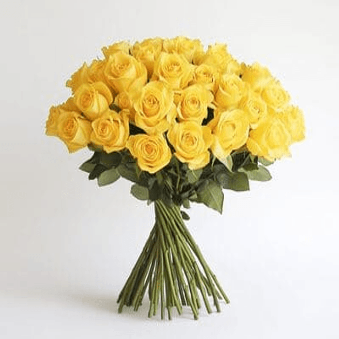 50 Yellow Roses 10179