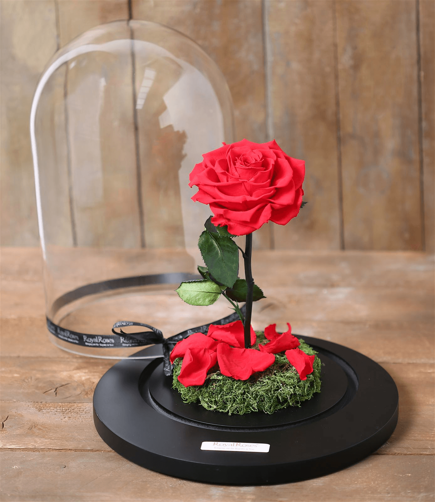 Royal Beauty Medium