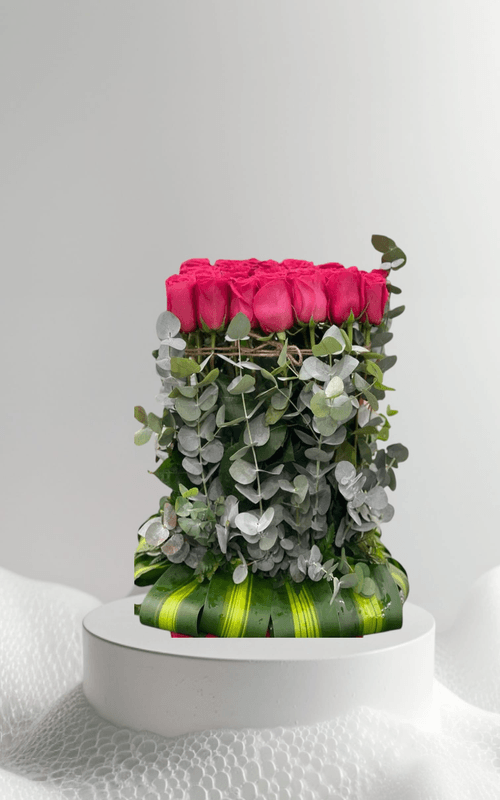 Fushia garden
