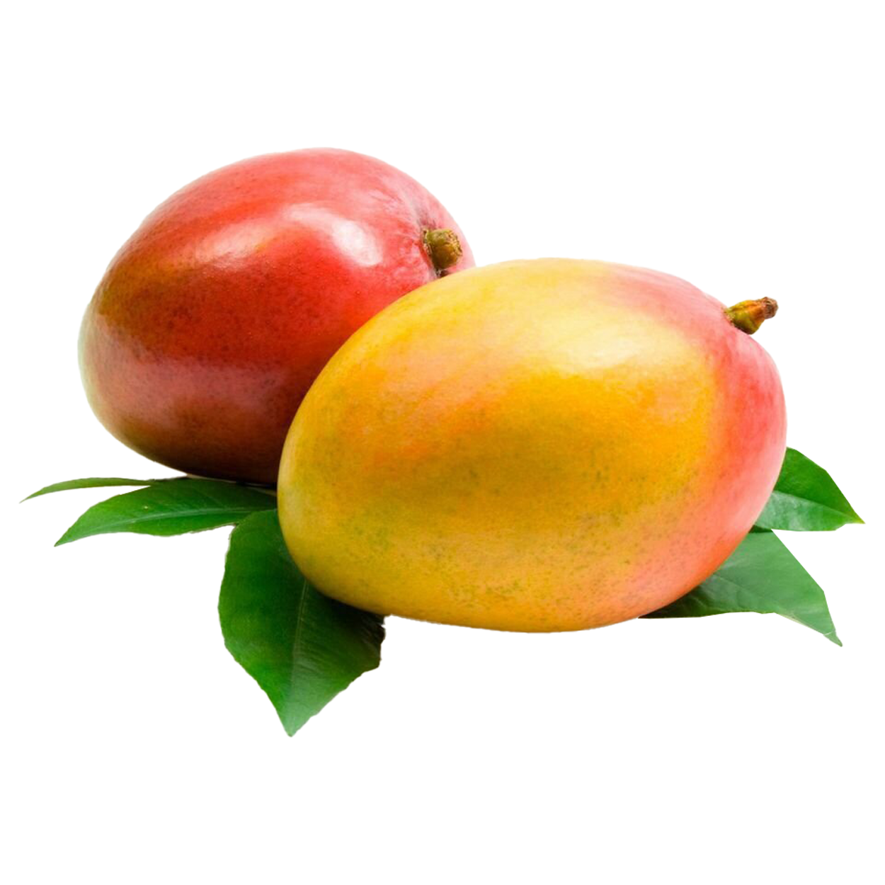 Mango Brazil