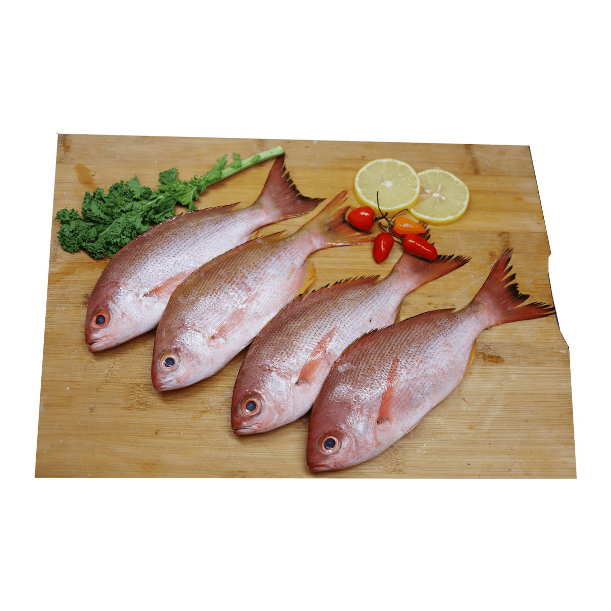 Fresh Naimy Fish Medium Doha