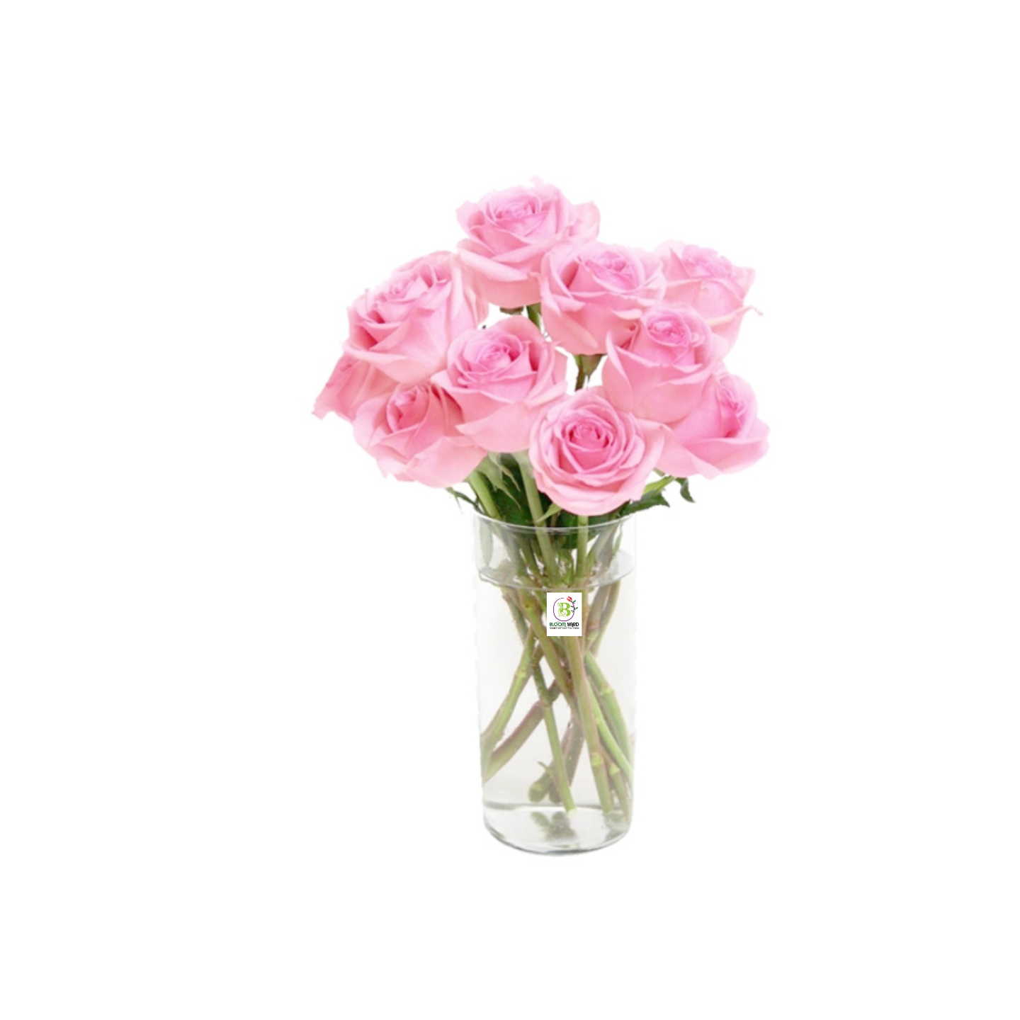 Bloom yard 10