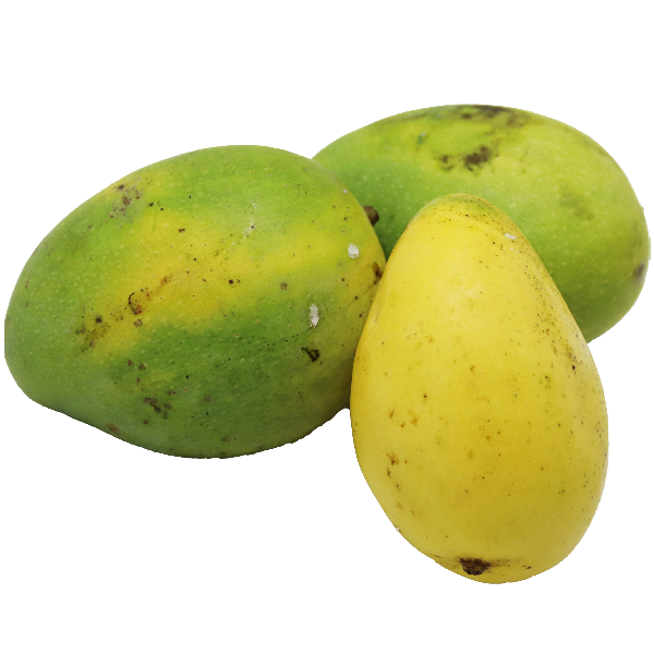 Mango Venganapalli