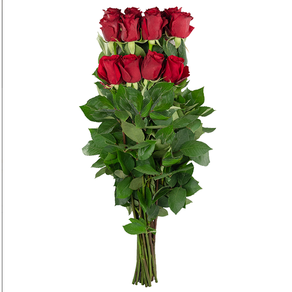 A bunch of red roses, 25 roses