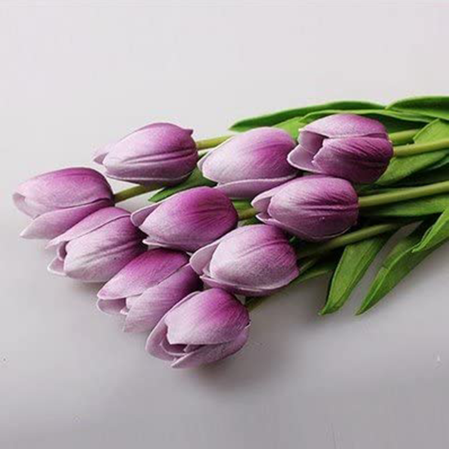 10 Purple Tulips