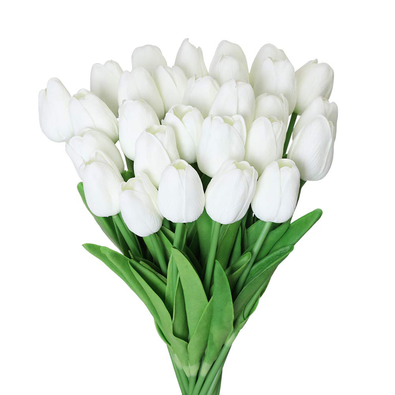 10 White Tulips