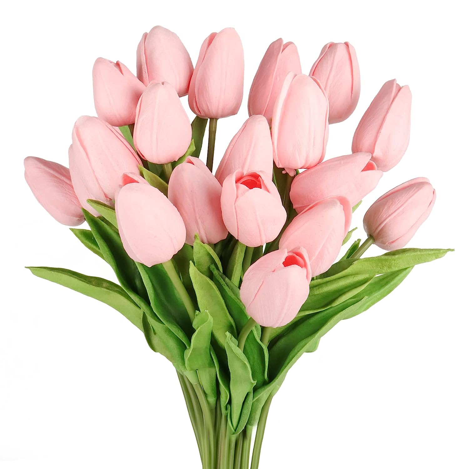 10 Pink Tulips