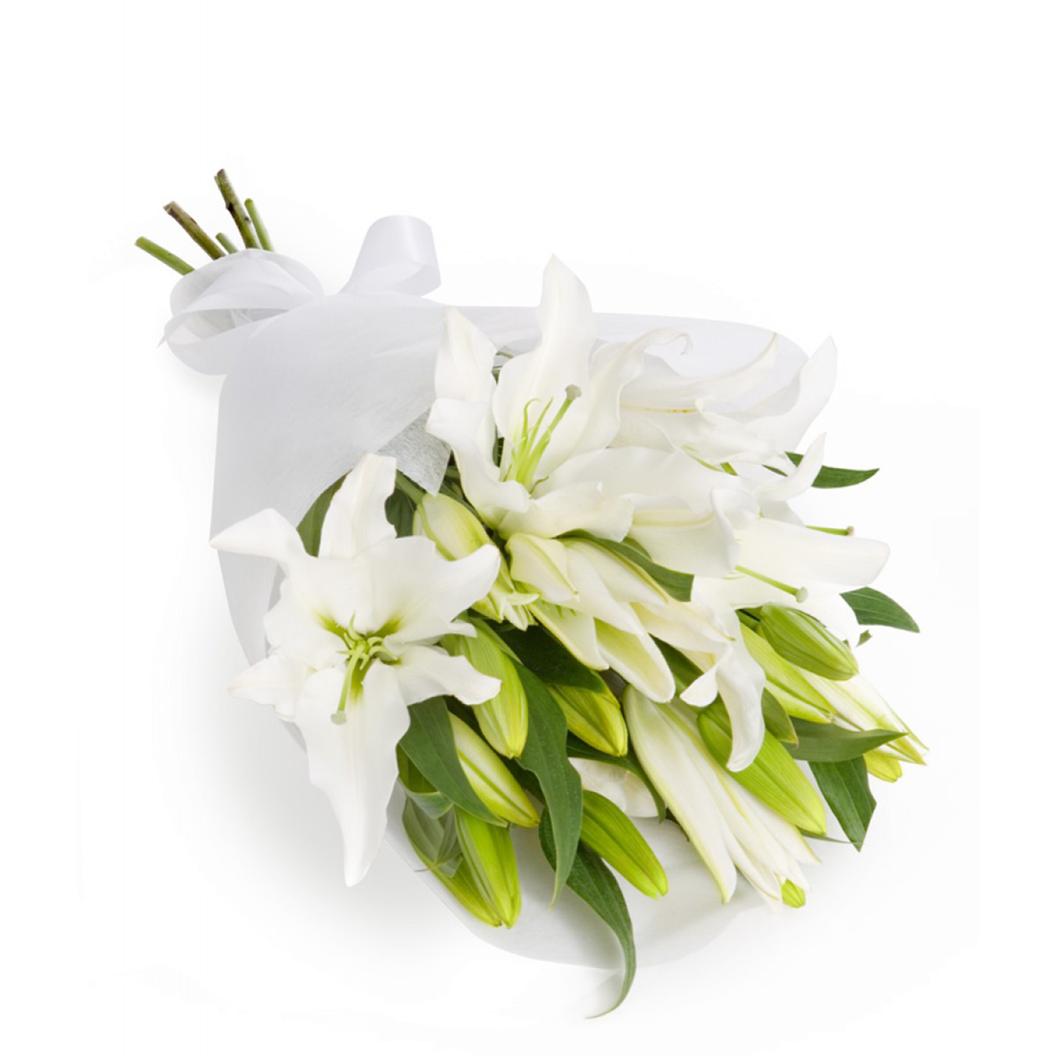 10 White Lilies