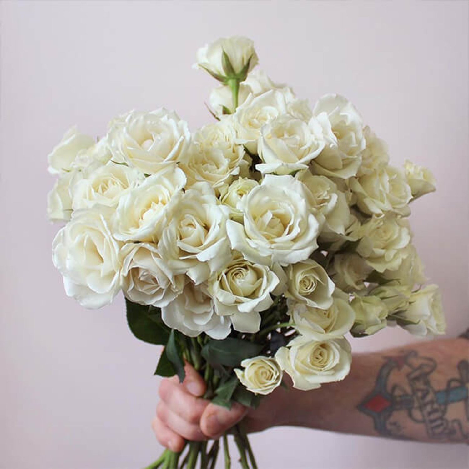 10 White Baby Roses