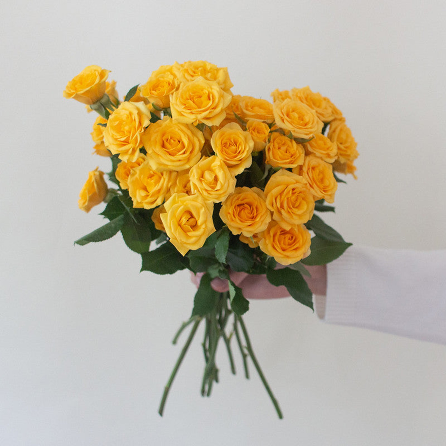 10 Yellow Baby Roses