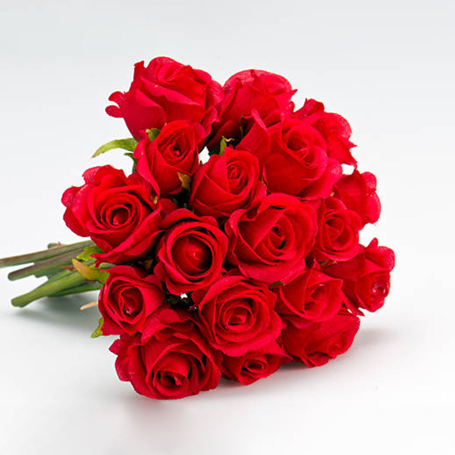 10 Red Roses