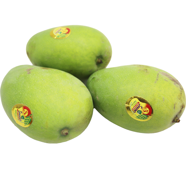 Mango Badami Pakistan By Ship Alfalh