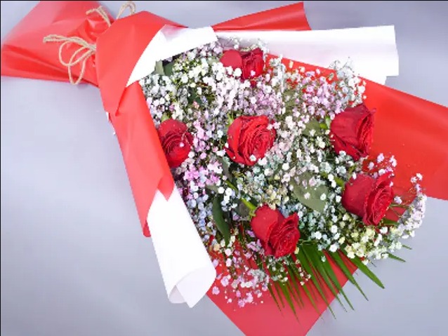 Red Code