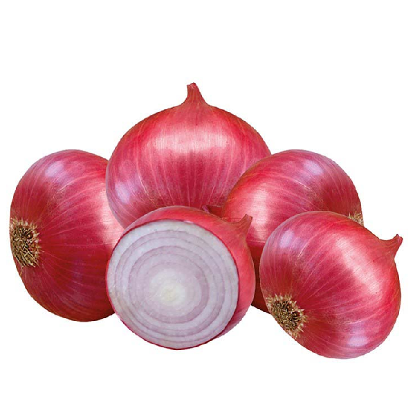 Onion Red Algeria