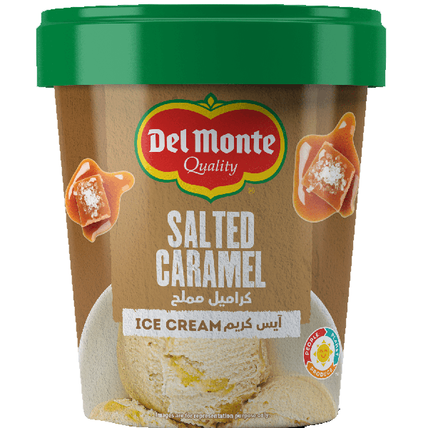 Delmonte Salted Caramel Ice Cream 500ml