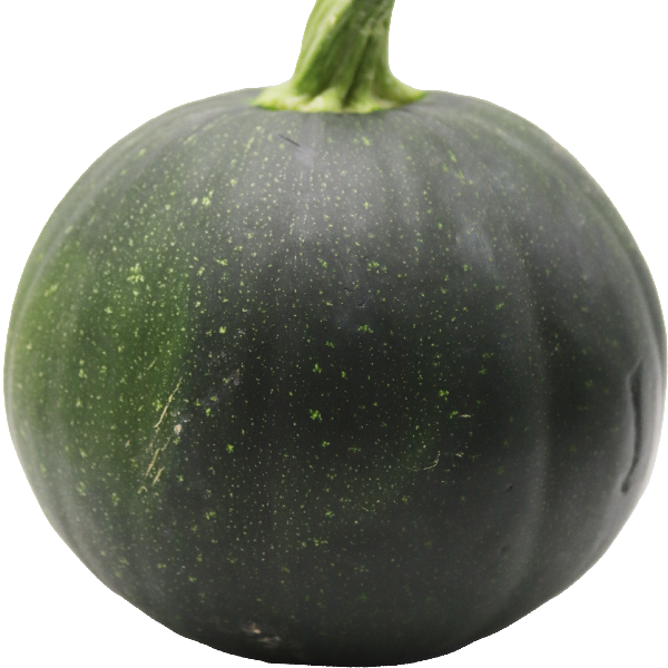 Pumpkin Green Oman