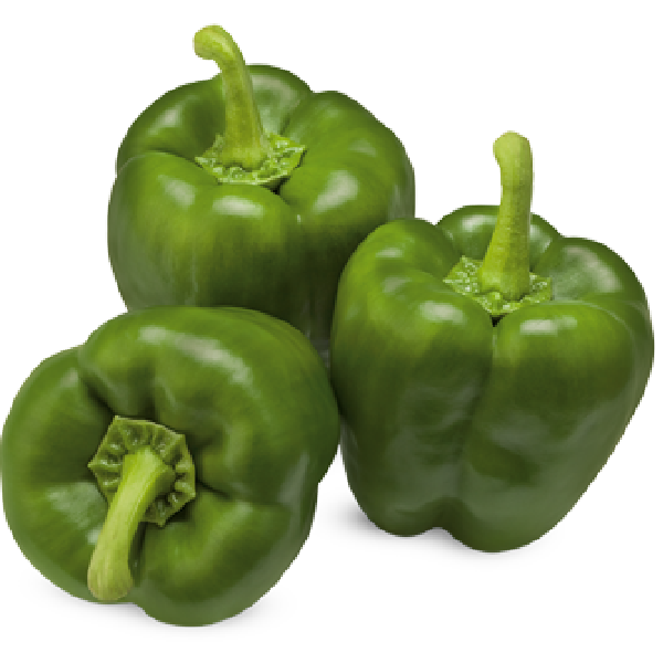 Capsicum Green Egypt