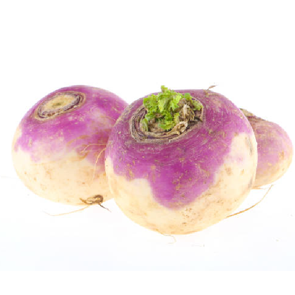 Turnip(Sulgam) Oman