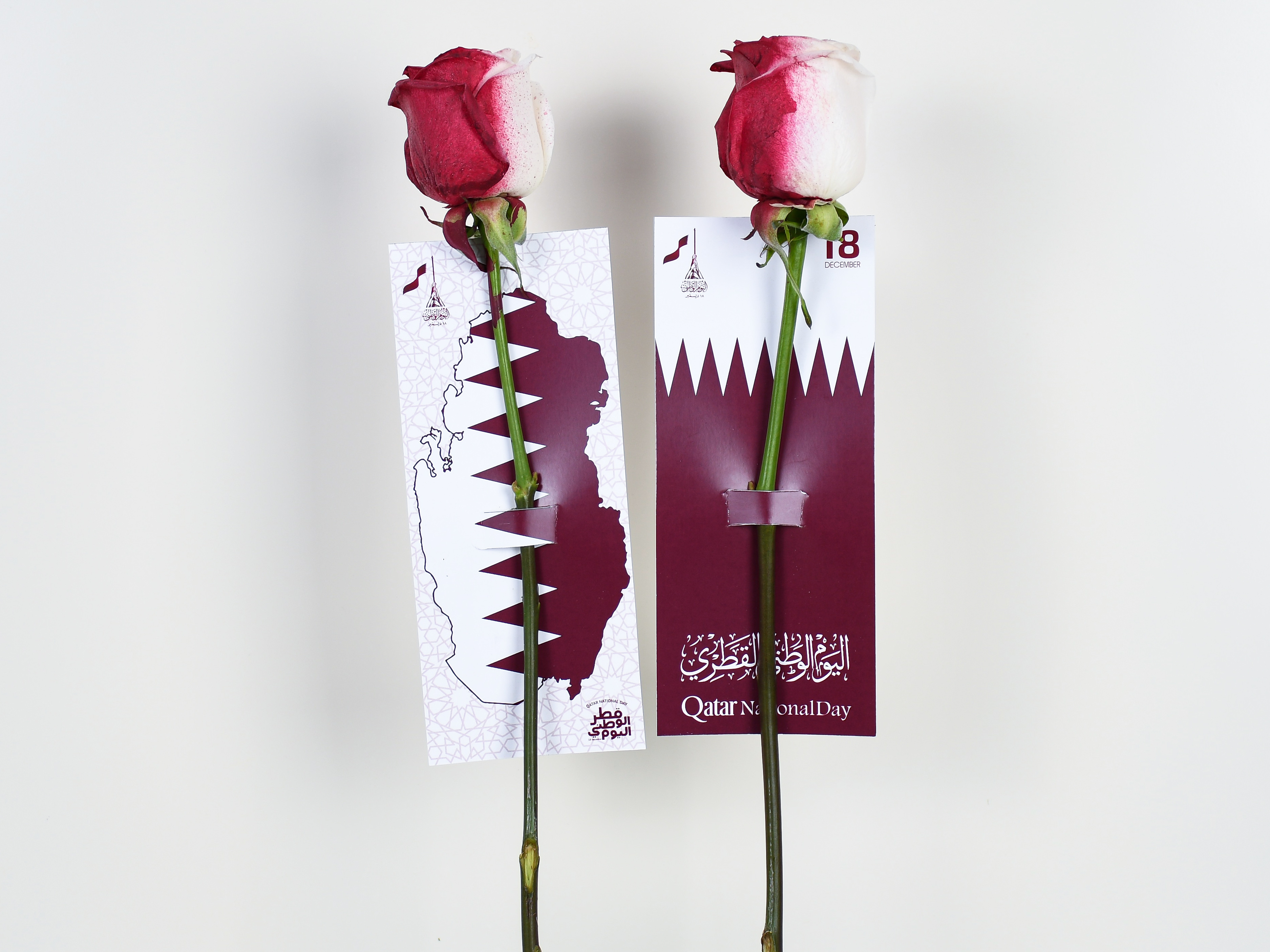 National Day 2 Rose