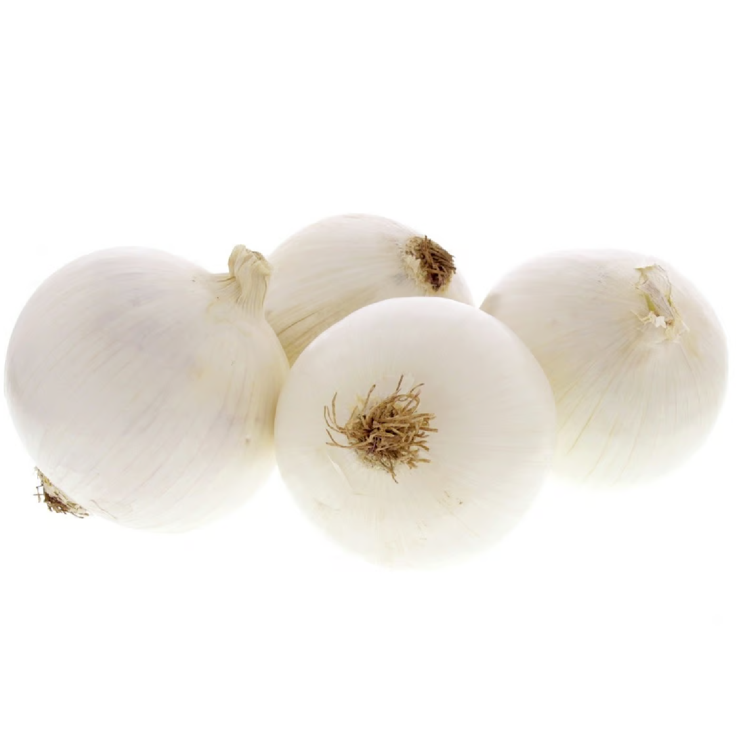 White Onion Oman