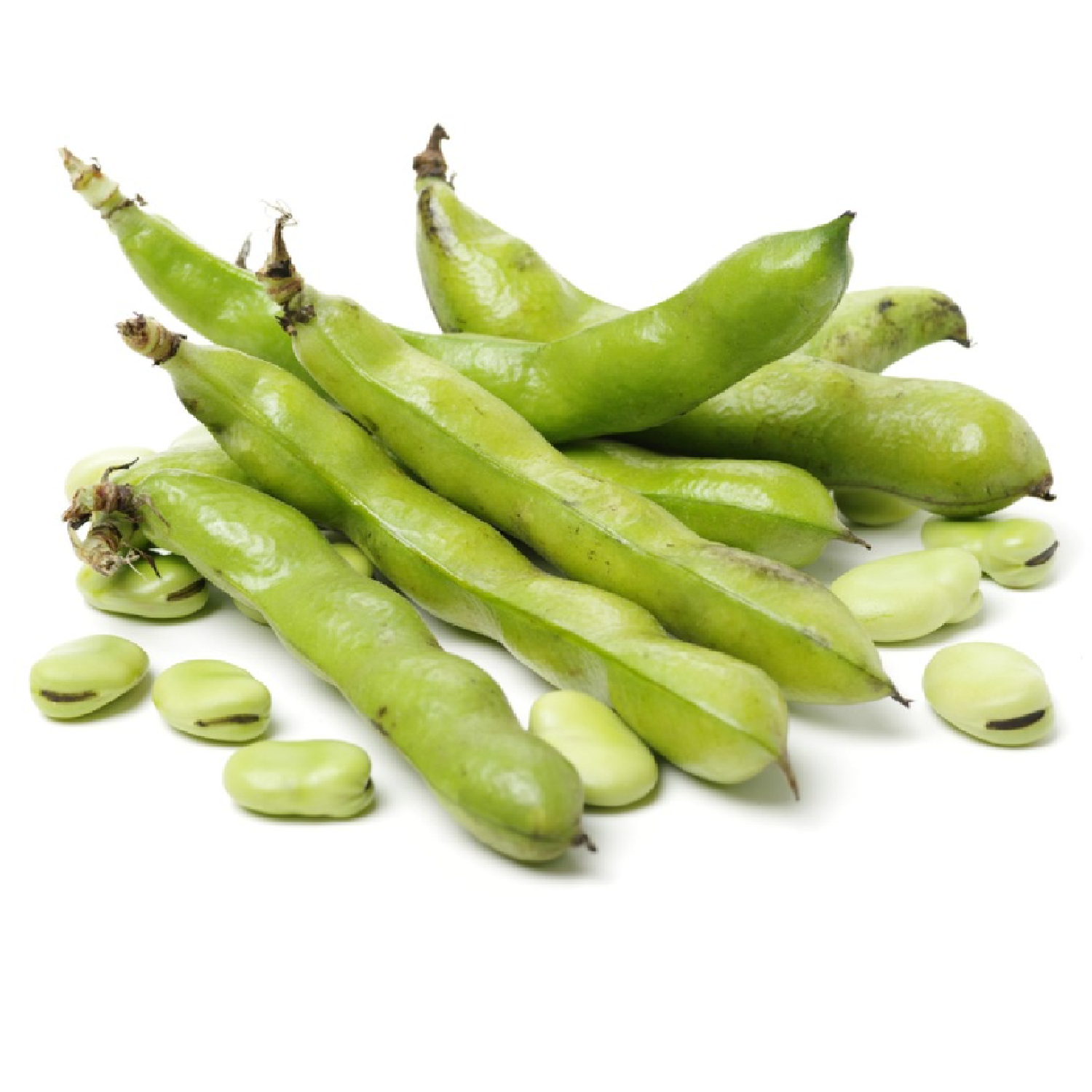 Broad Beans Egypt