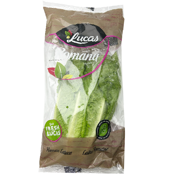 Lettuce Roman Holland